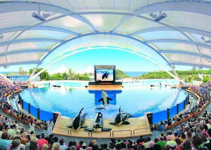 Apartment Vistas Al Teide Ii Piscina Climatizada 39 *